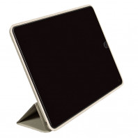 Чехол Smart case для Ipad Pro 12.9" (2020) Stone